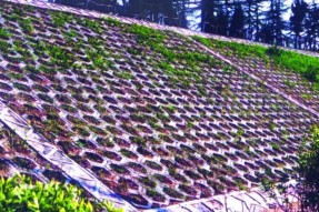 空心植草护坡砖模具针对护坡项目施工建议及规范
